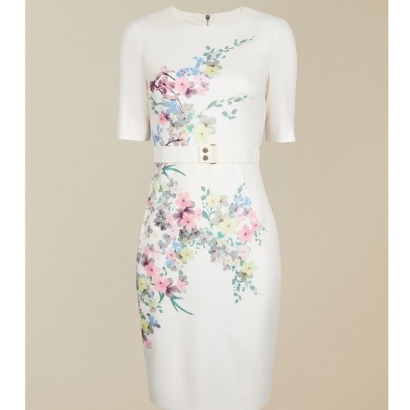Ted Baker Dresses & Skirts - Ted Baker Camliaa Dress